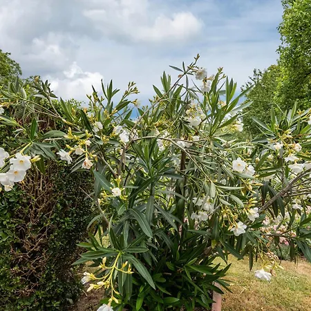 Fewo-loh4-sinsheim Апартаменты