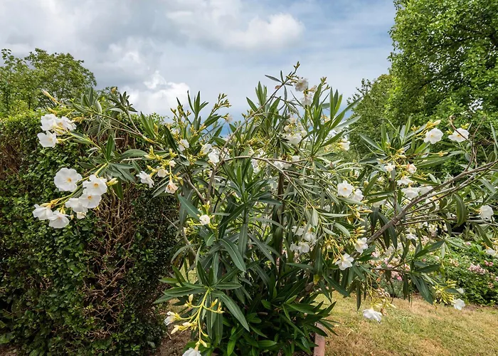 Fewo-loh4-sinsheim Apartamento